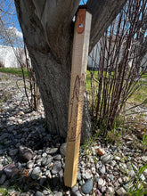 Load image into Gallery viewer, Rod Case 2440 Curly Maple
