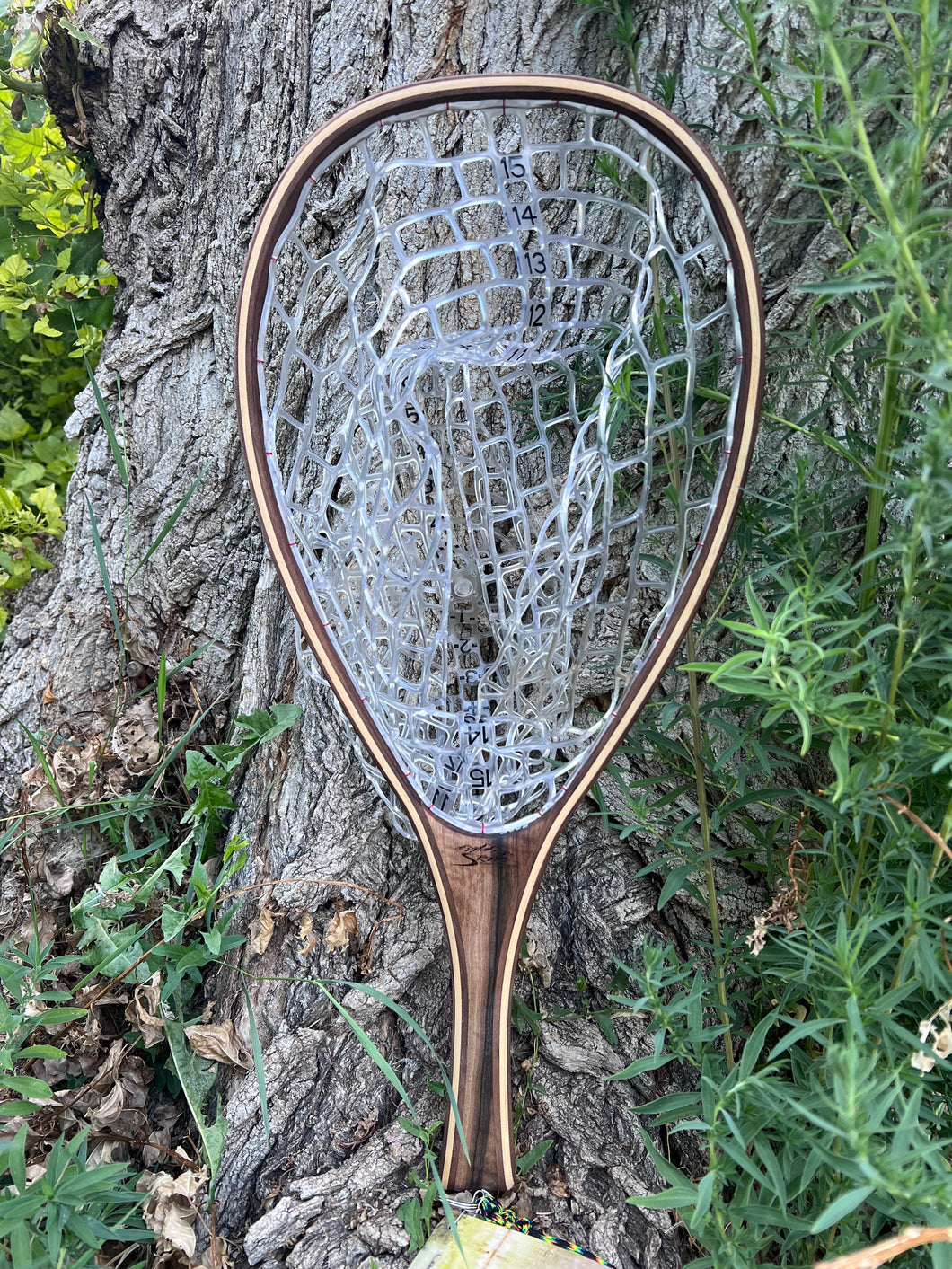 Silver Creek English Walnut 2568