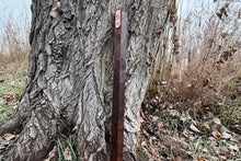 Load image into Gallery viewer, Walnut Fly Rod Case 2573
