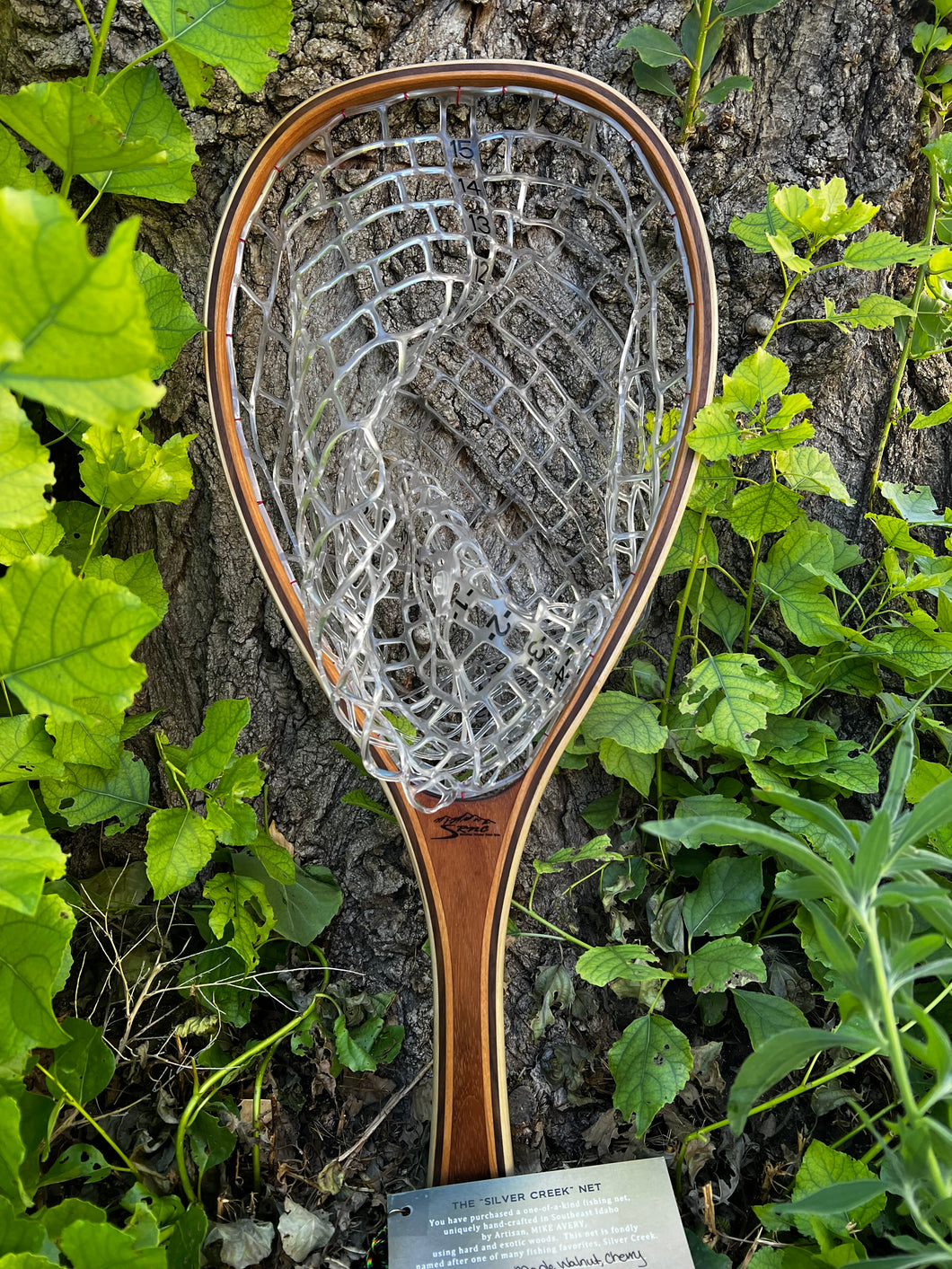 Silver Creek Sapelle 2551