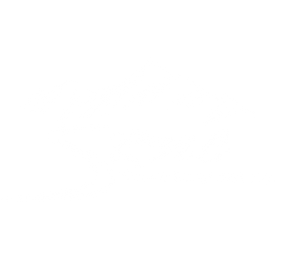 Snake River Net Company